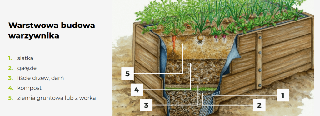 Warstwowa budowa warzywnika - ekologiczna żywność 